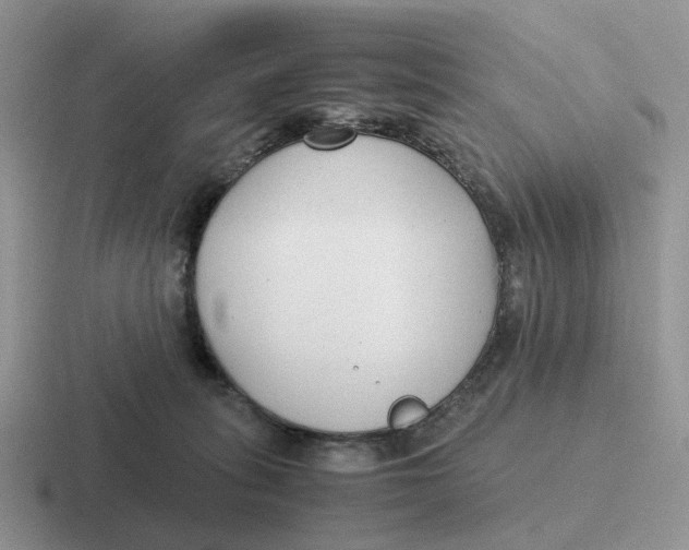 X0000116660275201001041116