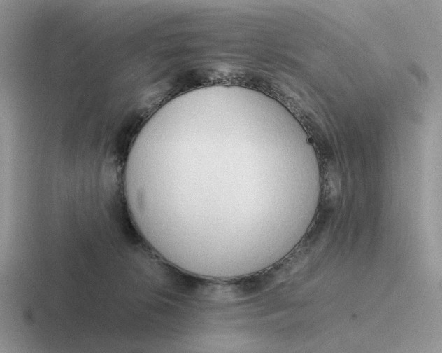 X0000116660276201001041116