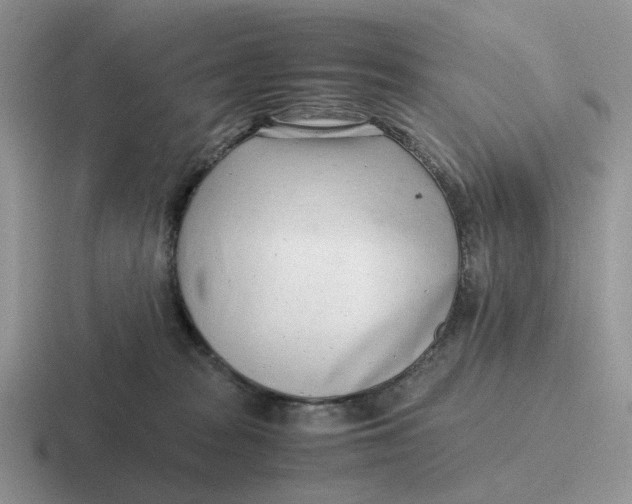 X0000116660277201001041116