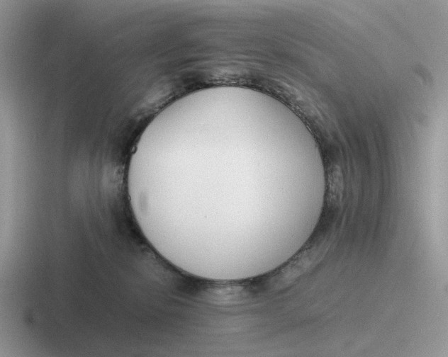 X0000116660278201001041116