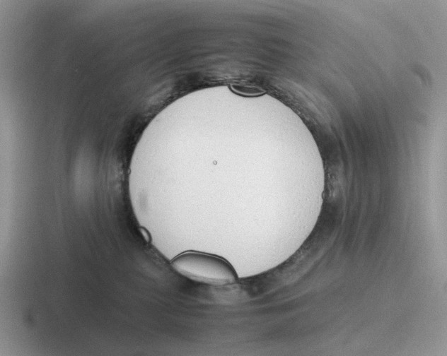 X0000116660279201001041116