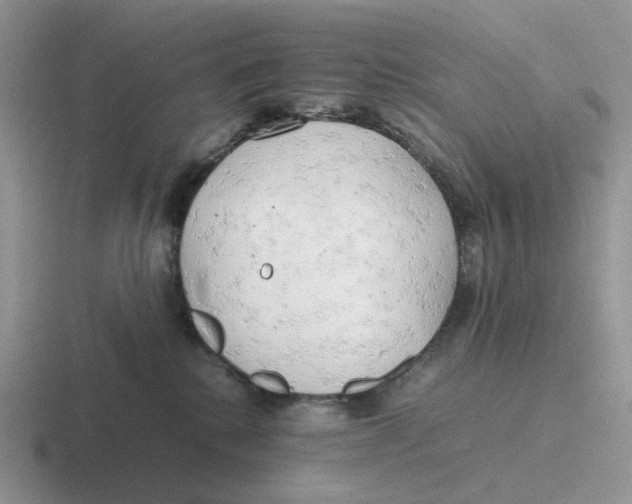 X0000116660280201001041116