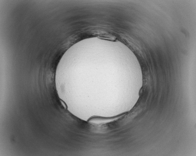 X0000116660281201001041116