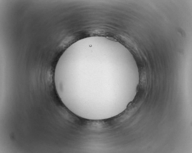 X0000116660282201001041116