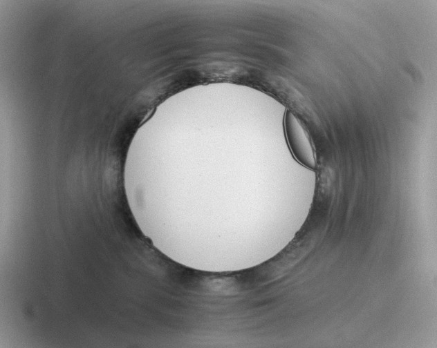 X0000116660283201001041116