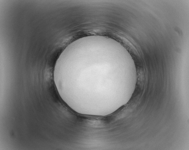 X0000116660284201001041116