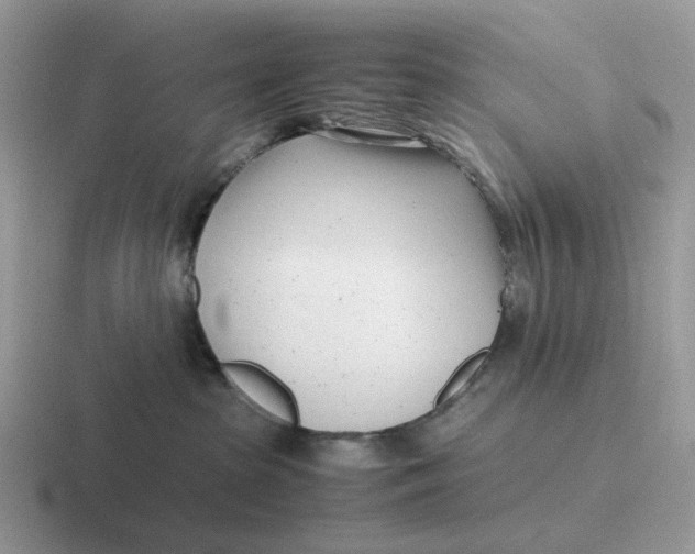 X0000116660285201001041116