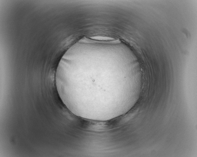 X0000116660288201001041116