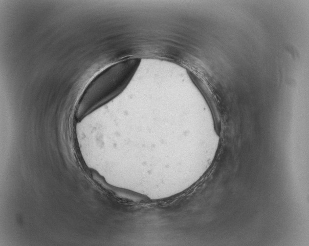 X0000116660289201001041115