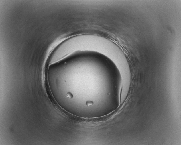 X0000116660294201001041115