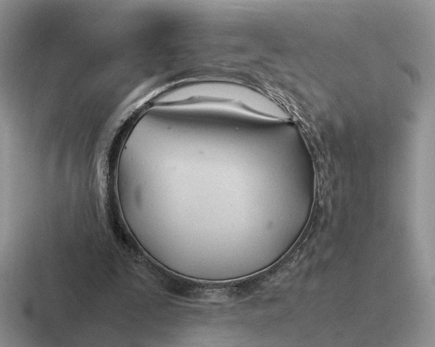 X0000116660295201001041115