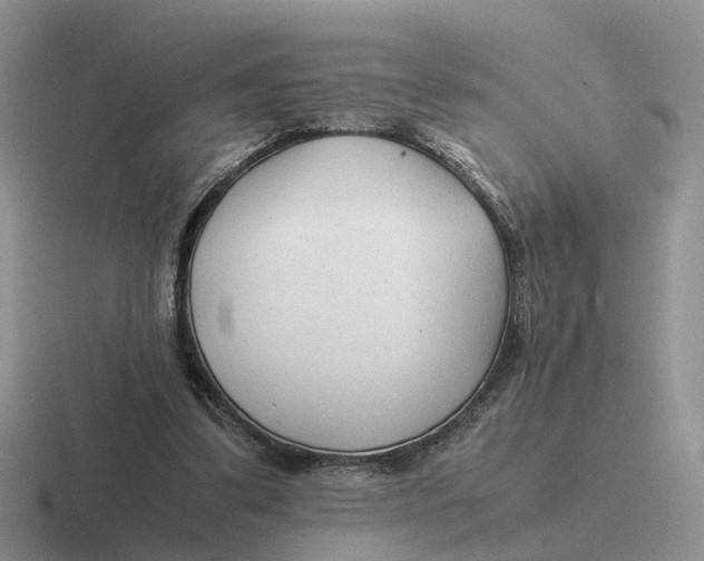 X0000116660299201001041115