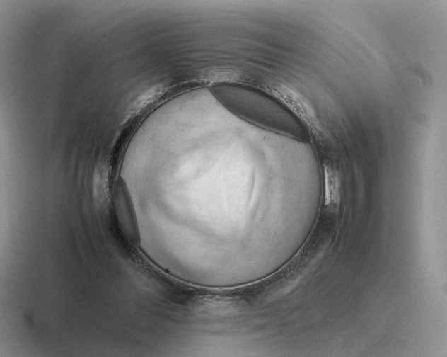 X0000116660300201001041115