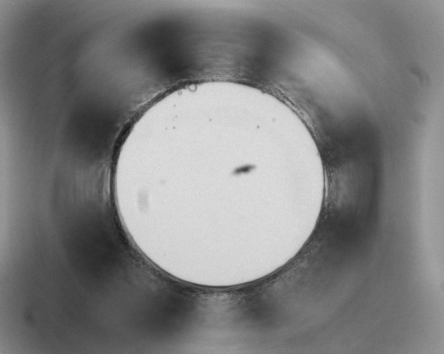 X0000116660301201001041115