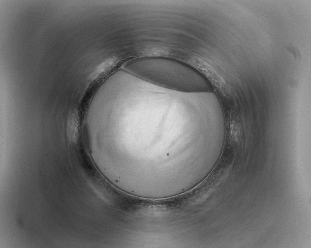 X0000116660304201001041115