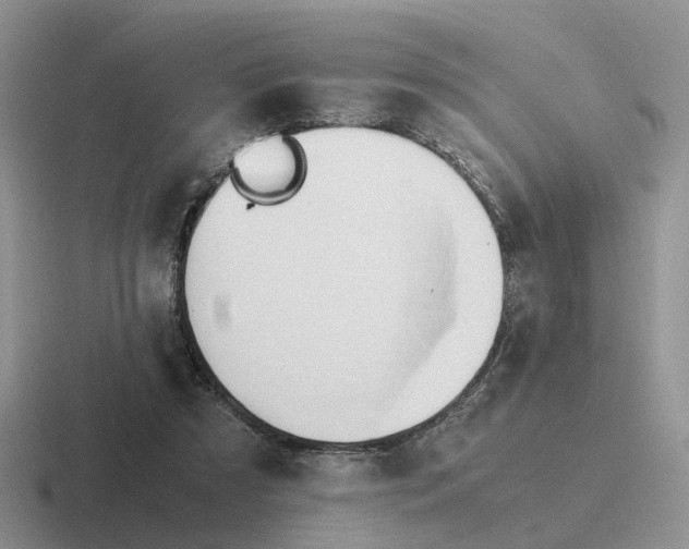 X0000116660305201001041115