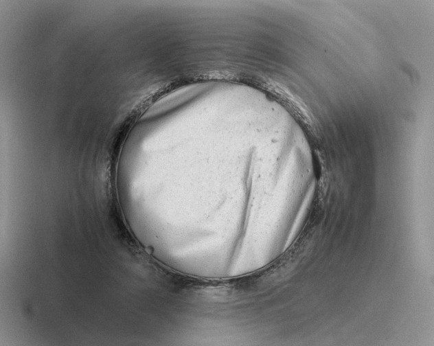 X0000116660306201001041115