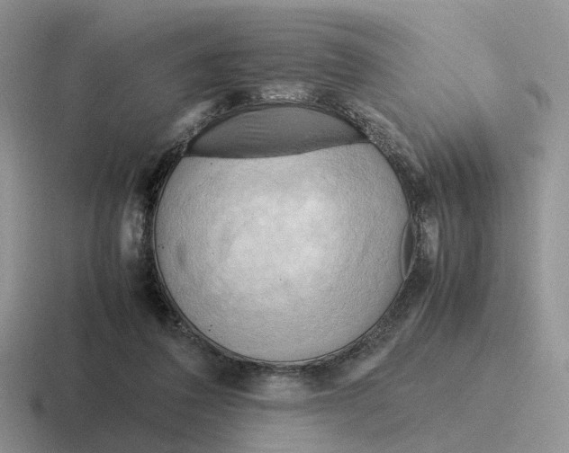 X0000116660308201001041115