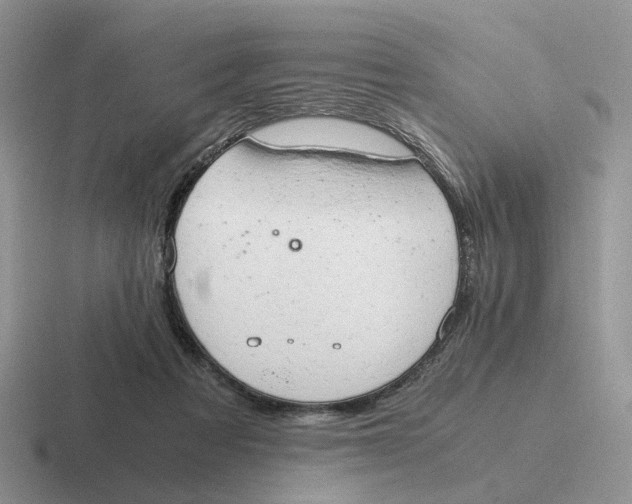 X0000116660313201001041115