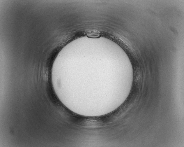 X0000116660315201001041115