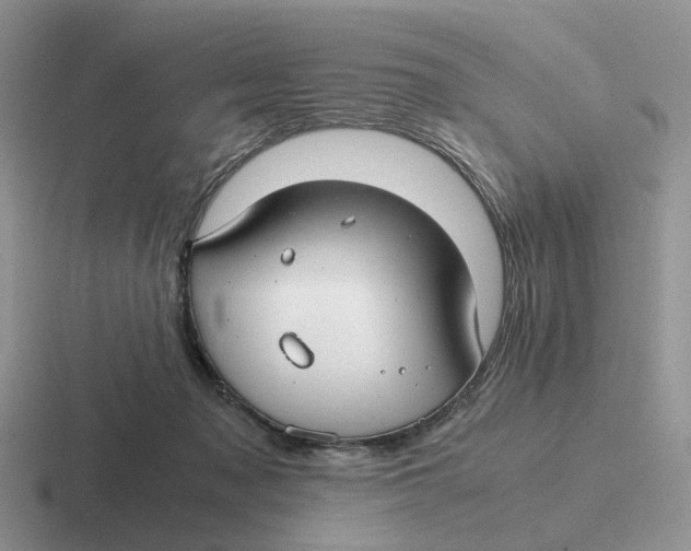 X0000116660317201001041115