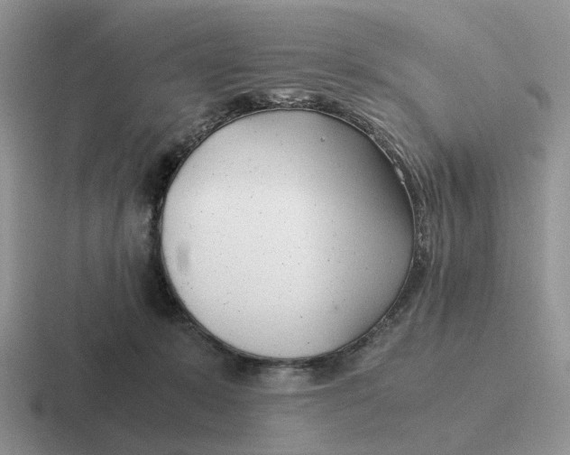 X0000116660319201001041115