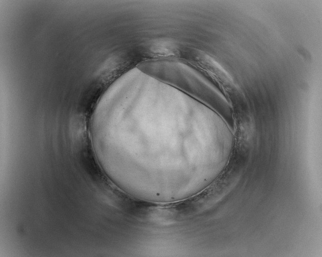 X0000116660320201001041115