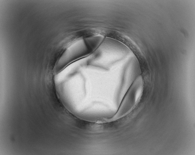 X0000116660325201001041115