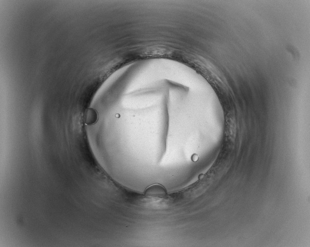 X0000116660326201001041115