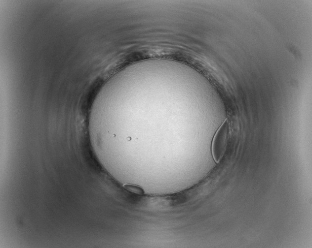 X0000116660327201001041115