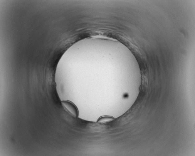 X0000116660331201001041115