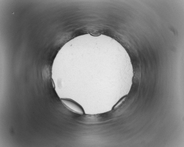 X0000116660335201001041115