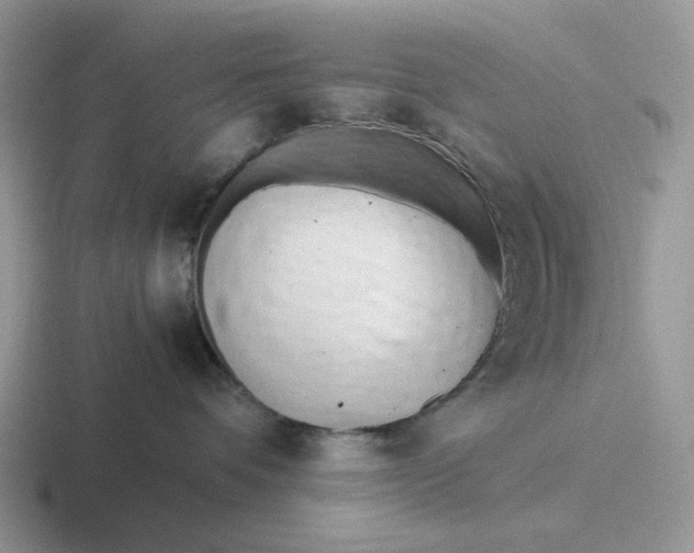 X0000116660336201001041115