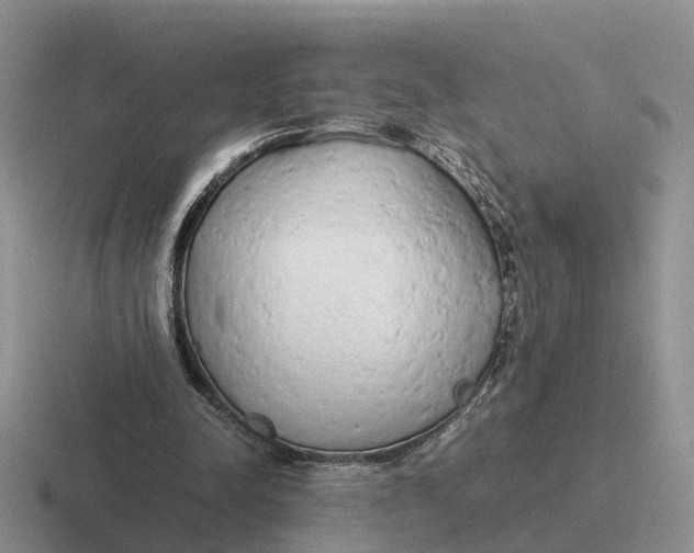 X0000116660342201001041114