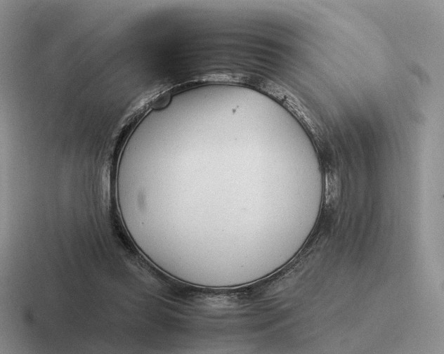 X0000116660349201001041114