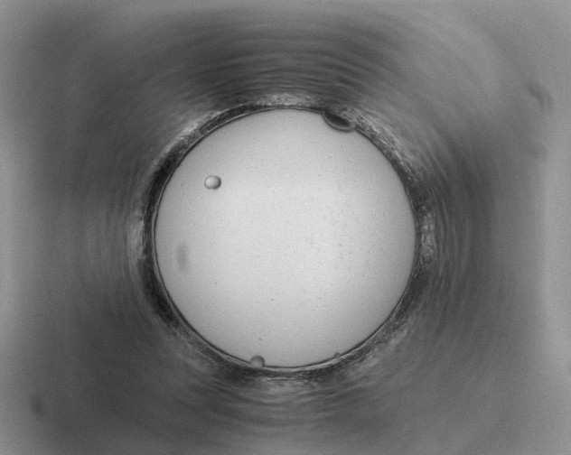 X0000116660351201001041114