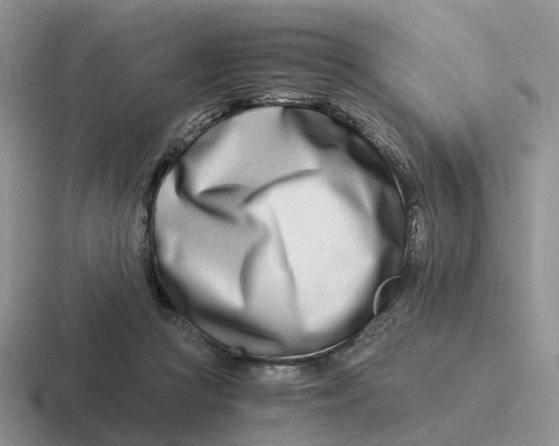 X0000116660361201001041114