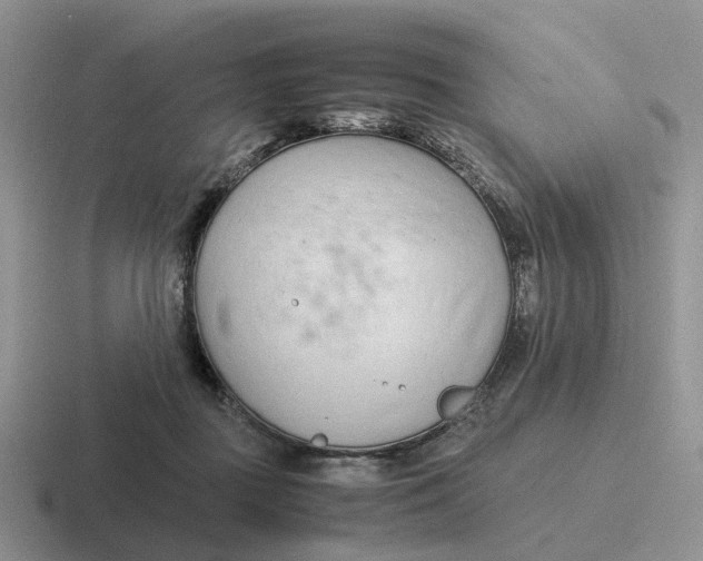 X0000116660363201001041114