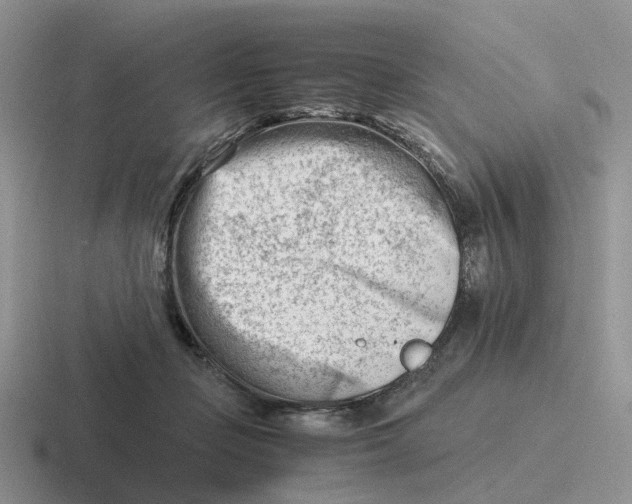 X0000116660365201001041114