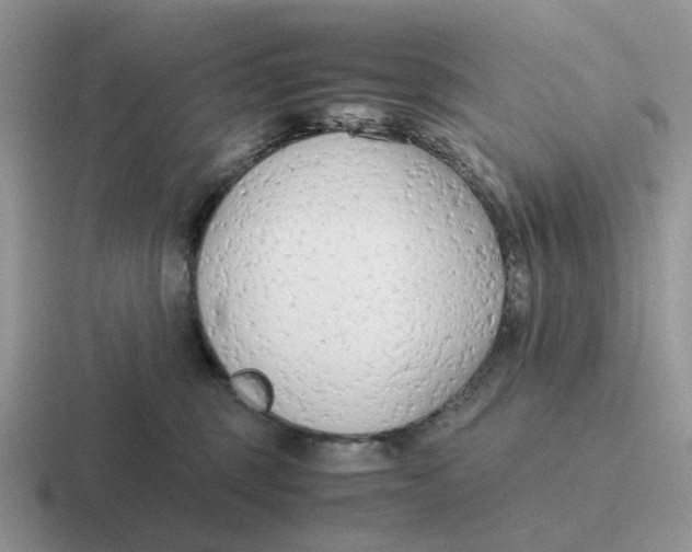 X0000116660375201001041114