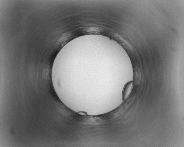 X0000116660379201001041114