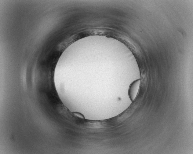 X0000116660381201001041115