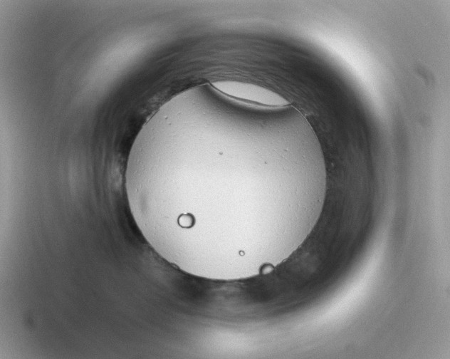 X0000116660382201001041115