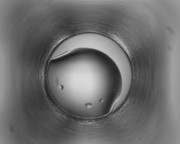 X0000116660386201001041114