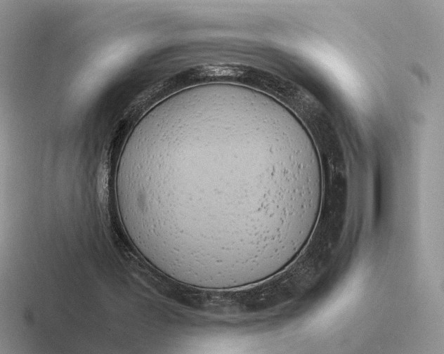 X0000116660387201001041114