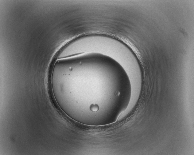 X0000116660391201001041114