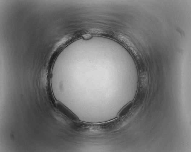 X0000116660395201001041114