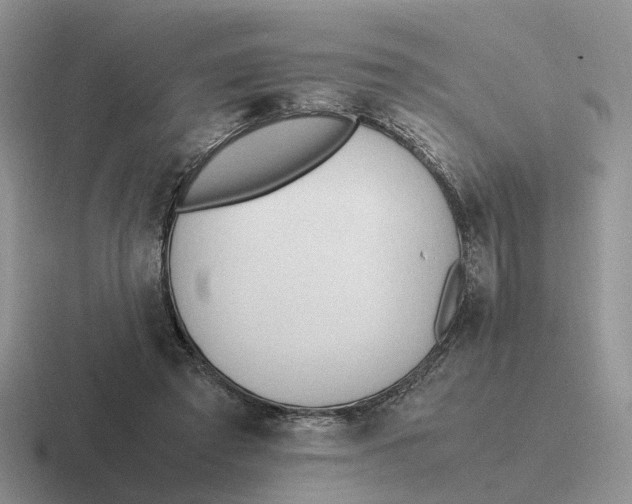 X0000116660401201001041114