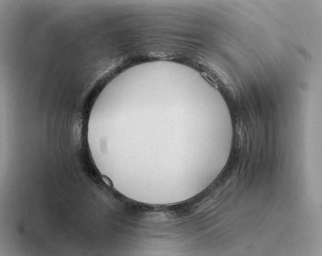 X0000116660404201001041114