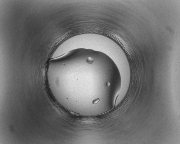 X0000116660405201001041114